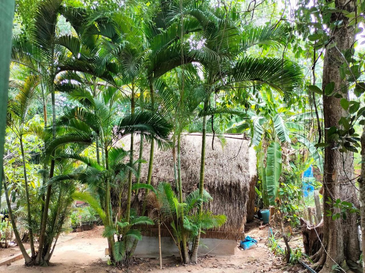 Ferienwohnung Jungle House Kep Exterior foto